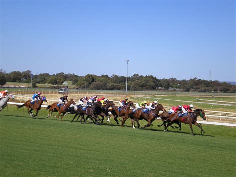 kingston town classic odds|Northerly Stakes 2024 .